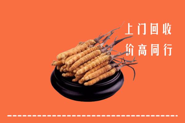 高价求购：海北州刚察回收散虫草