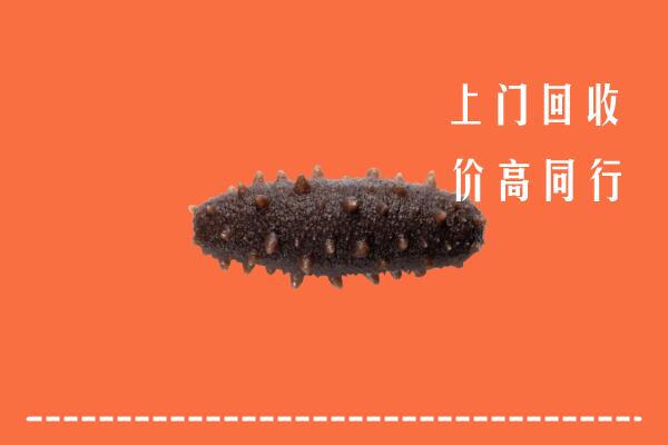 高价求购：海北州刚察回收海参