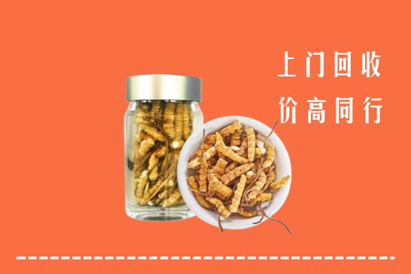 海北州刚察回收冬虫夏草